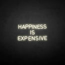 'HAPPINESS IS EXPENSIVE' neon sign - VINTAGE SIGN