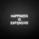 'HAPPINESS IS EXPENSIVE' neon sign - VINTAGE SIGN