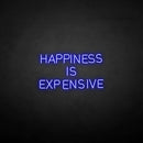 'HAPPINESS IS EXPENSIVE' neon sign - VINTAGE SIGN