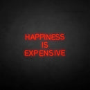 'HAPPINESS IS EXPENSIVE' neon sign - VINTAGE SIGN