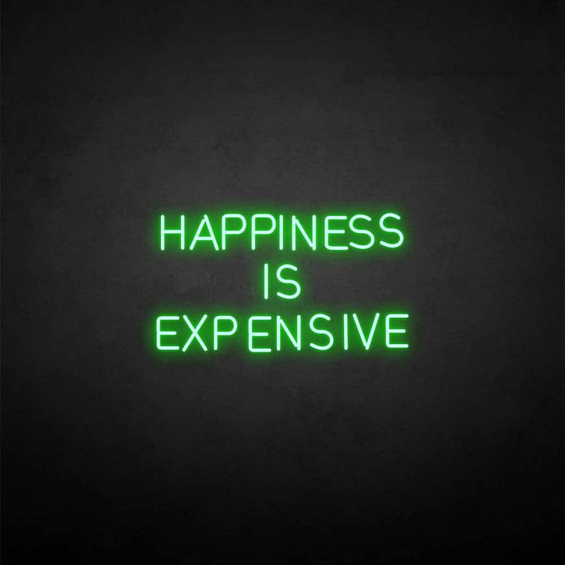 'HAPPINESS IS EXPENSIVE' neon sign - VINTAGE SIGN