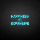 'HAPPINESS IS EXPENSIVE' neon sign - VINTAGE SIGN