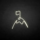 'Flag' neon sign - VINTAGE SIGN