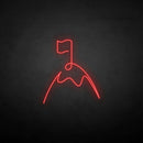 'Flag' neon sign - VINTAGE SIGN