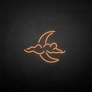 'Cloud and moon' neon sign - VINTAGE SIGN