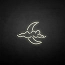 'Cloud and moon' neon sign - VINTAGE SIGN