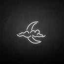 'Cloud and moon' neon sign - VINTAGE SIGN