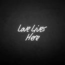 'Love lives here' neon sign - VINTAGE SIGN