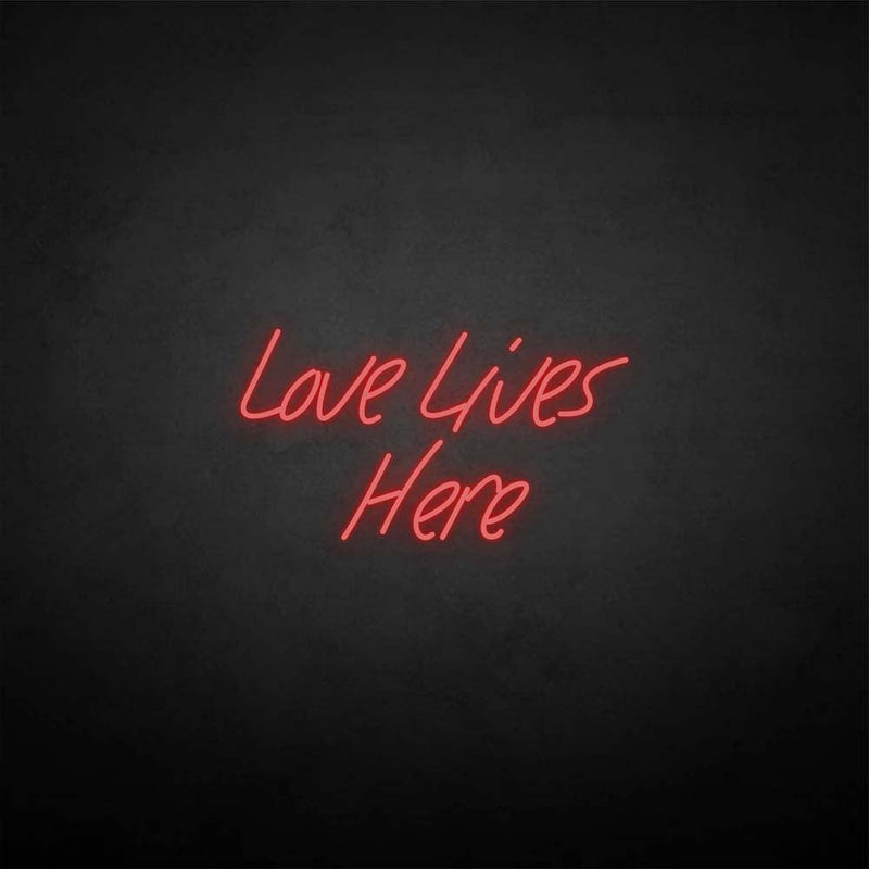 'Love lives here' neon sign - VINTAGE SIGN
